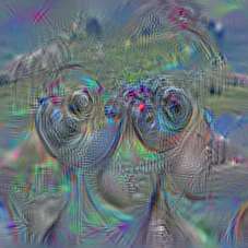 n02841315